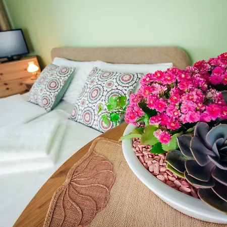 Balaton Retro Gem Apartman